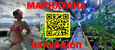мдпв Славгород