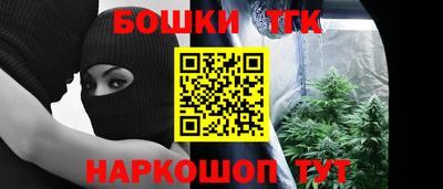 мдпв Славгород